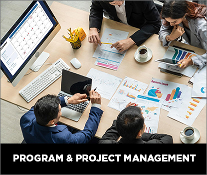program project -management